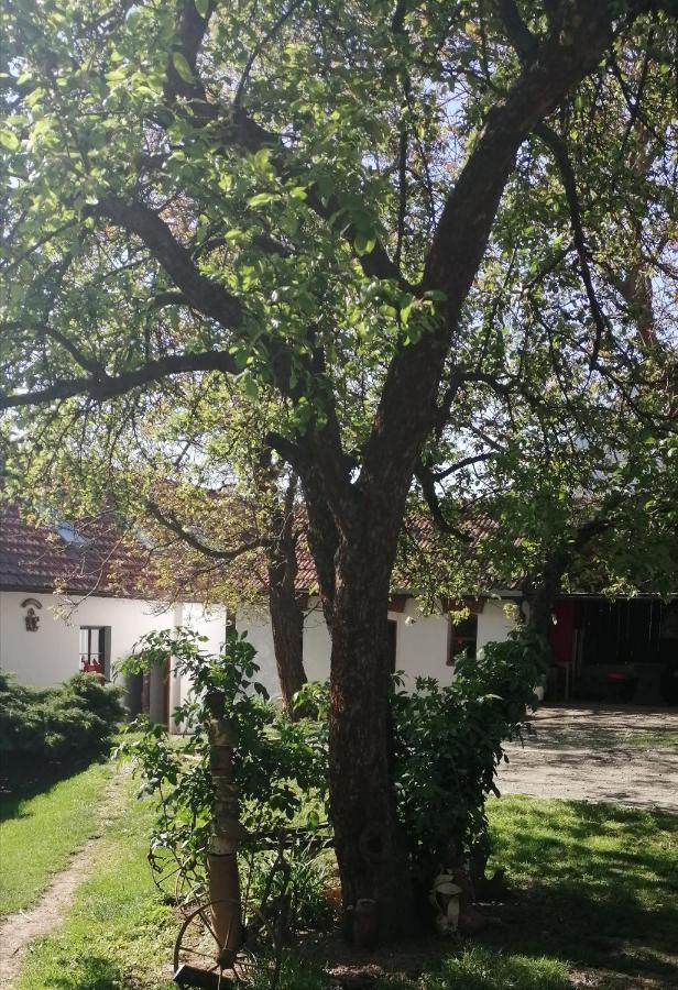 Keramicky A Vytvarny Atelier Konesin 외부 사진